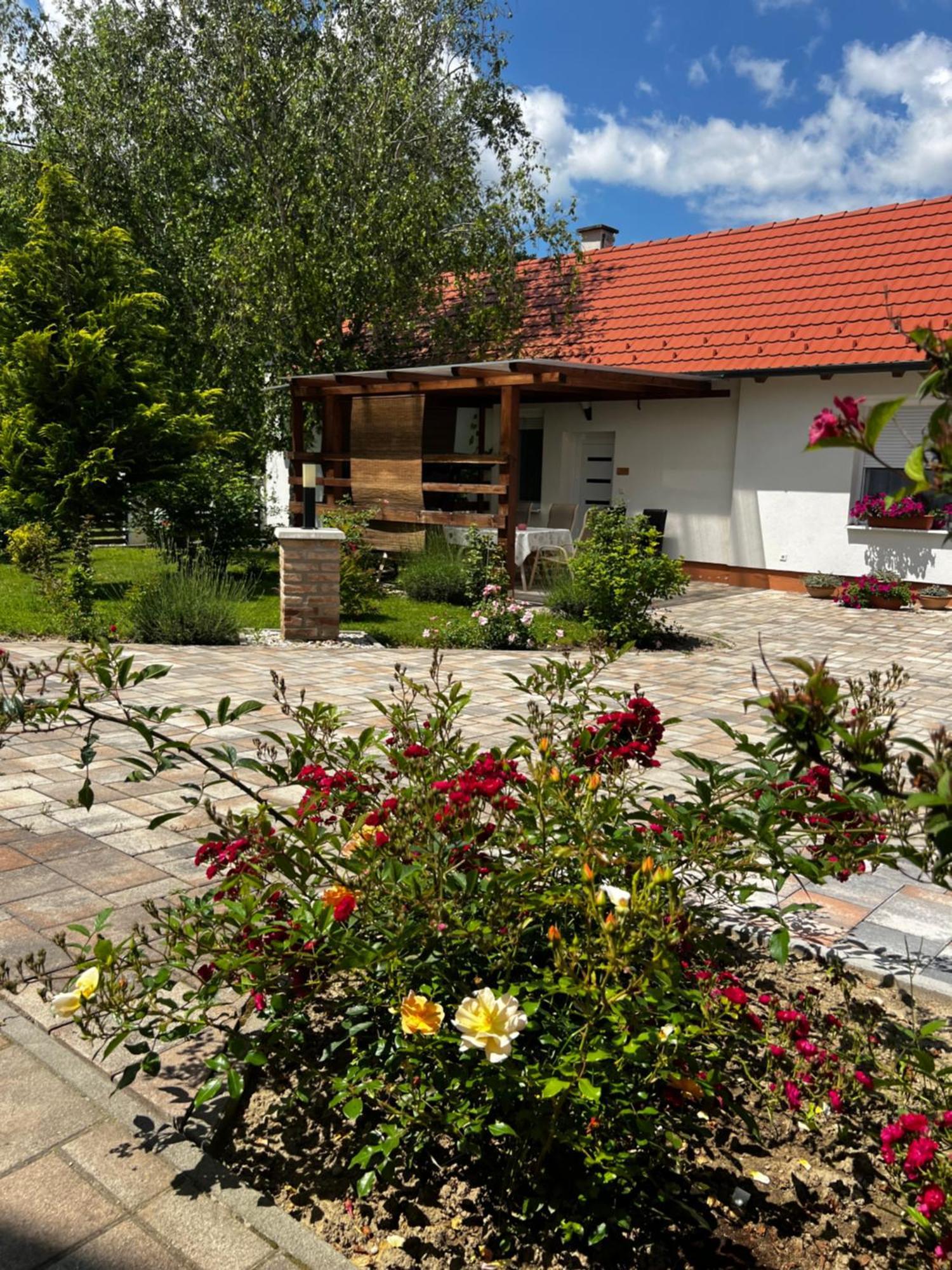 Dreko Panzio & Borbisztro Bed and Breakfast Győrújbarát Exteriör bild
